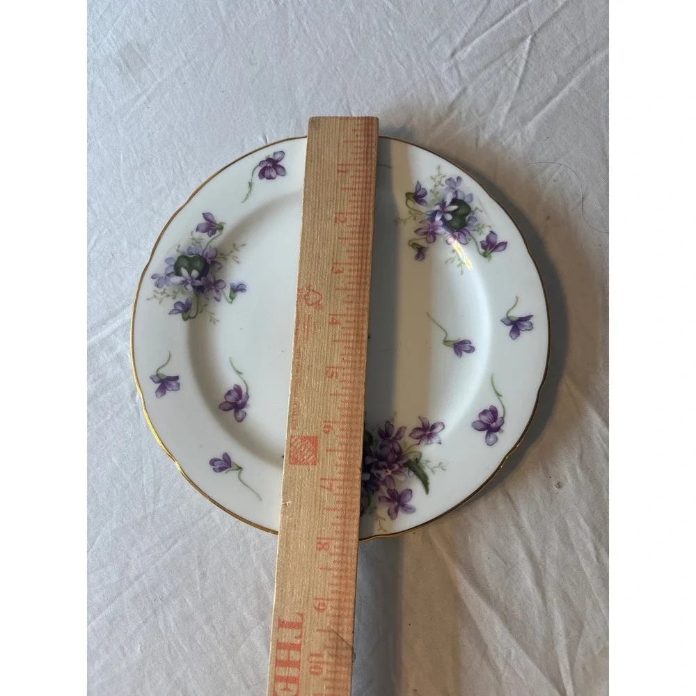Rossetti Spring Violets Plate Unisex 6.25in White  Occupied Japan Hand Painted